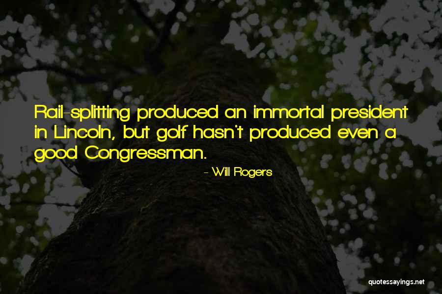 A Good President Quotes By Will Rogers