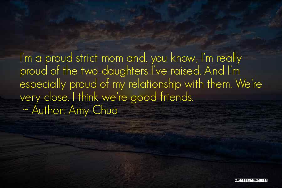 A Good Relationship Quotes By Amy Chua