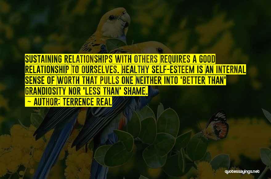 A Good Relationship Quotes By Terrence Real