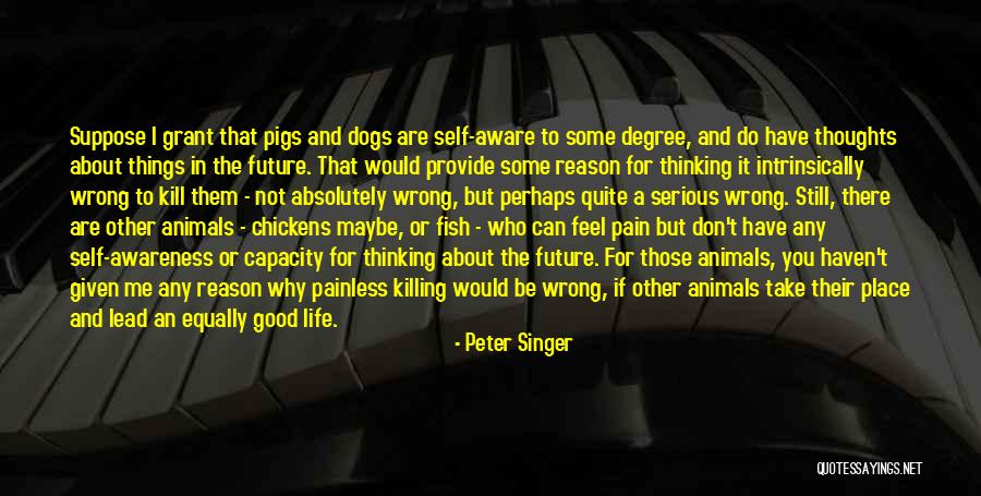 A Good Singer Quotes By Peter Singer