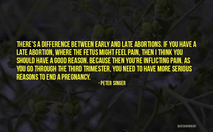 A Good Singer Quotes By Peter Singer