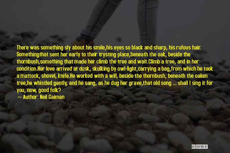 A Good Song Quotes By Neil Gaiman