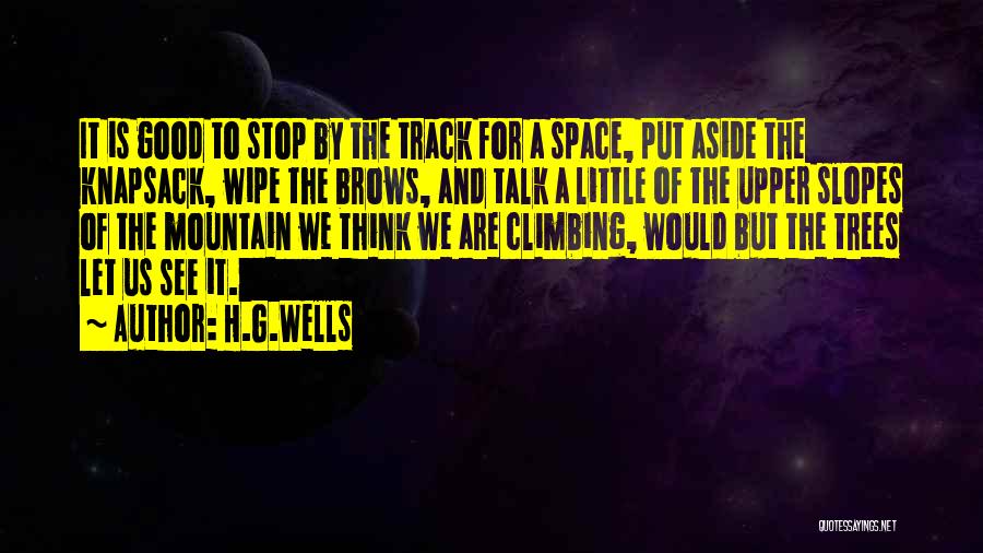 A Good Teamwork Quotes By H.G.Wells