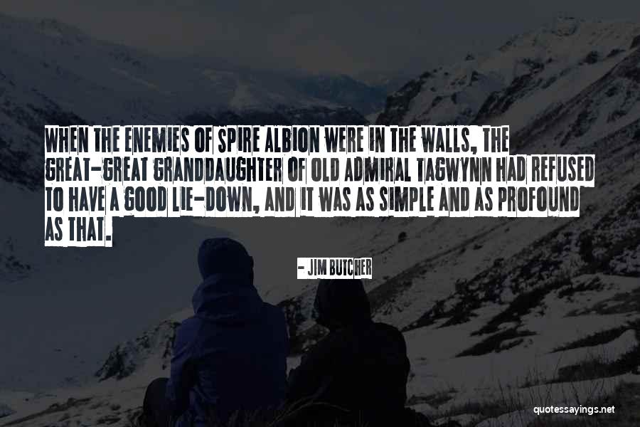A Granddaughter Quotes By Jim Butcher A Granddaughter Quotes By Jim Butcher