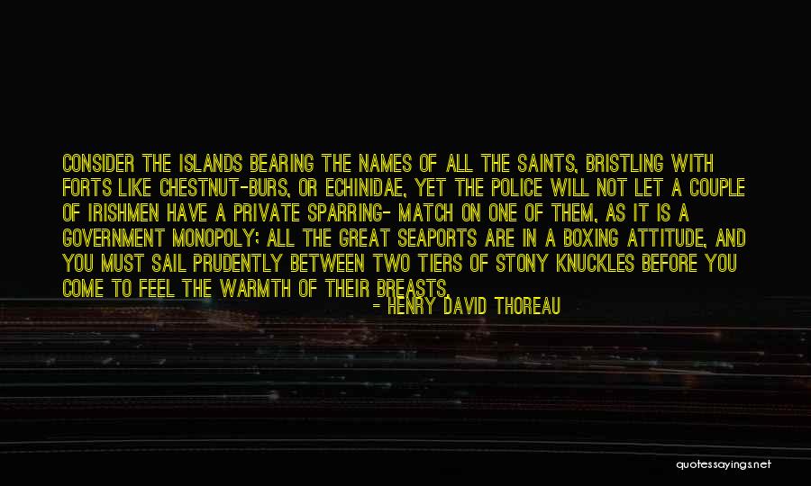 A Great Attitude Quotes By Henry David Thoreau A Great Attitude Quotes By Henry David Thoreau