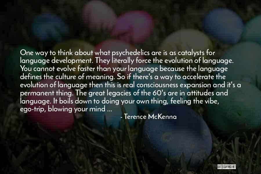 A Great Attitude Quotes By Terence McKenna A Great Attitude Quotes By Terence McKenna