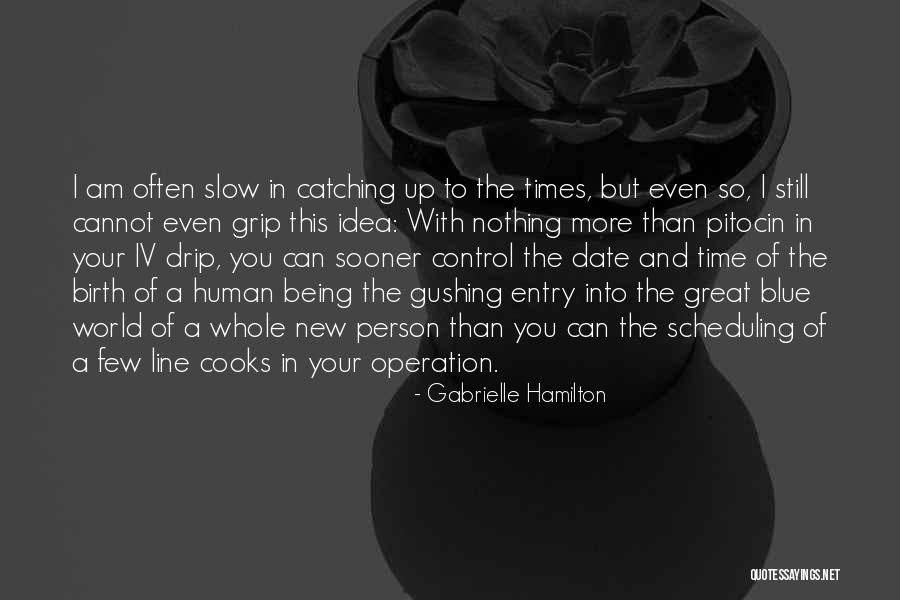 A Great Boss Quotes By Gabrielle Hamilton