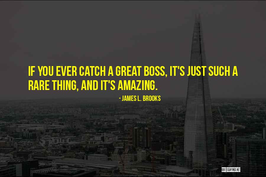 A Great Boss Quotes By James L. Brooks