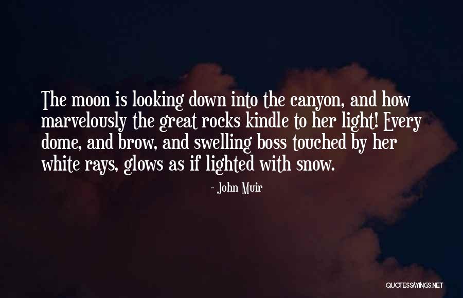 A Great Boss Quotes By John Muir