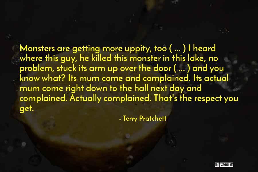 A Great Day Frank Sargeson Quotes By Terry Pratchett