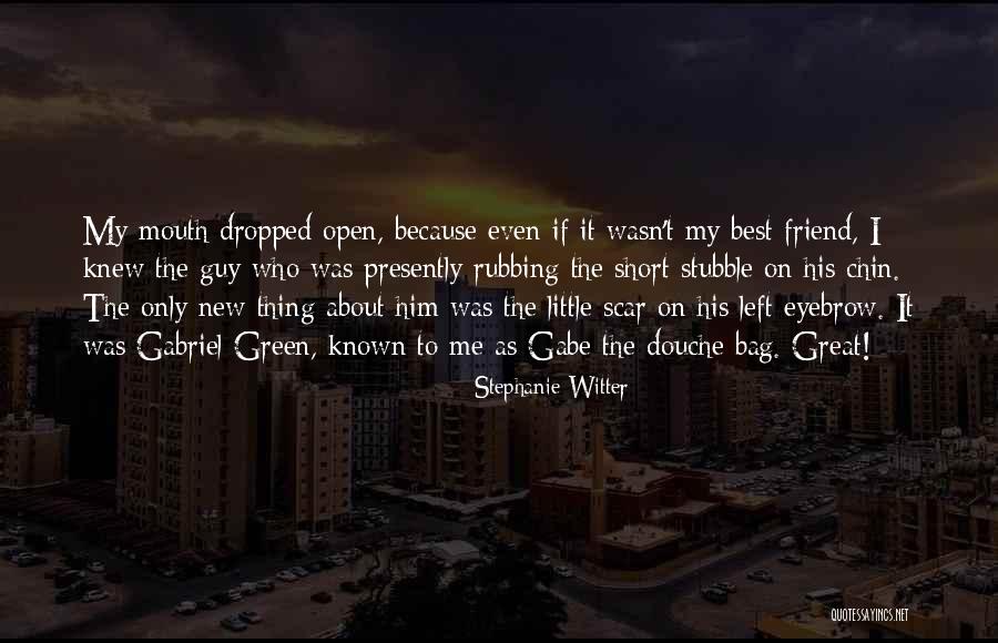 A Great Guy Friend Quotes By Stephanie Witter