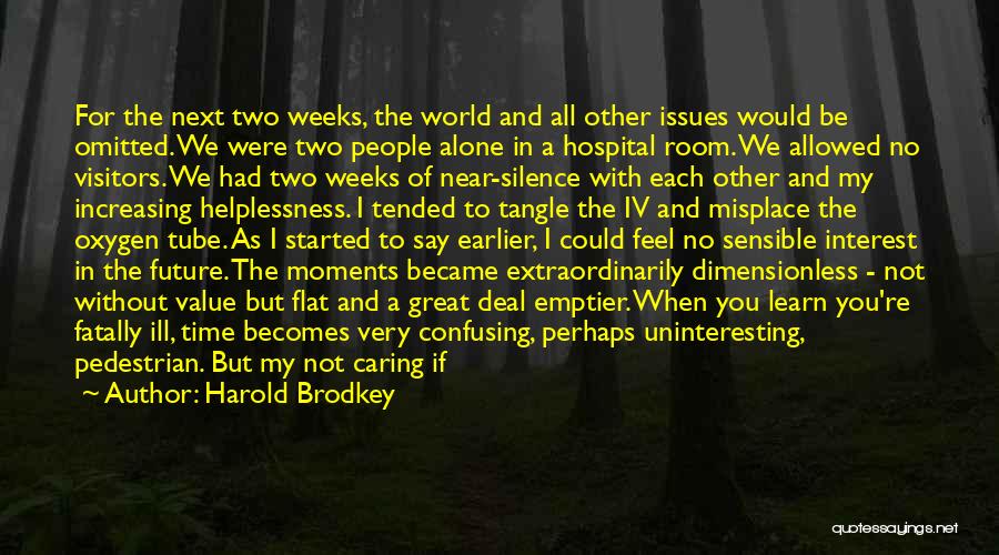 A Great Life Lived Quotes By Harold Brodkey