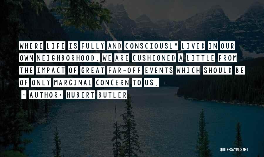 A Great Life Lived Quotes By Hubert Butler