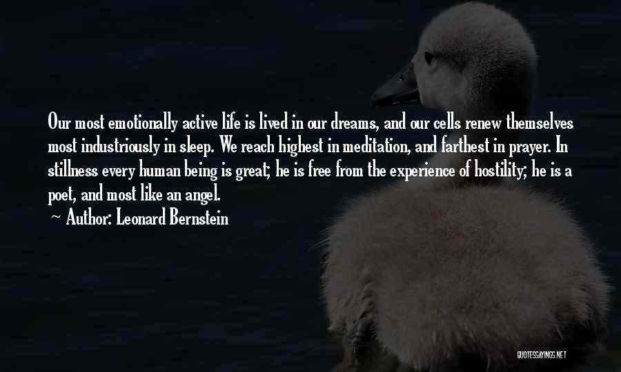 A Great Life Lived Quotes By Leonard Bernstein