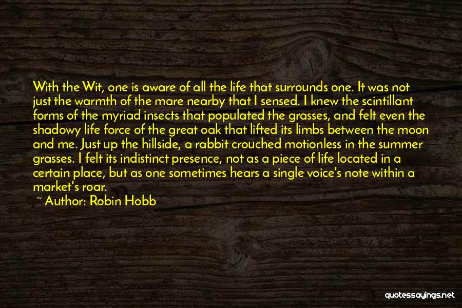 A Great Life Lived Quotes By Robin Hobb