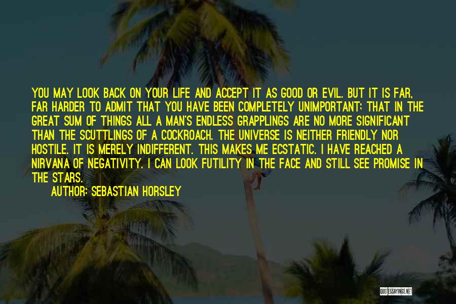 A Great Man In Your Life Quotes By Sebastian Horsley