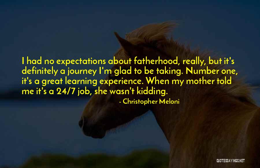 A Great Mother Quotes By Christopher Meloni A Great Mother Quotes By Christopher Meloni