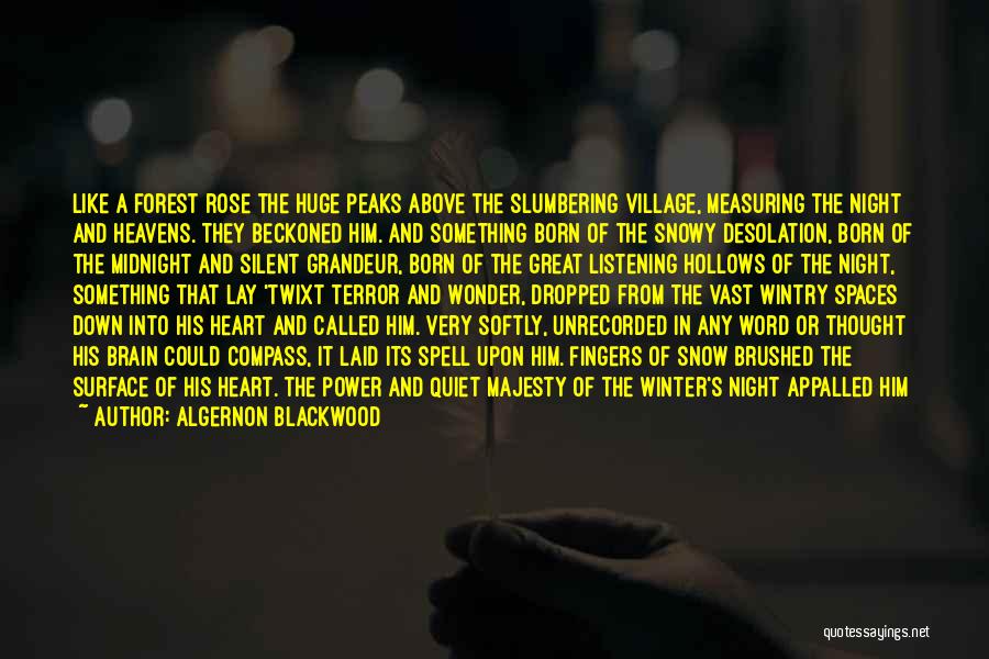 A Great Night Quotes By Algernon Blackwood