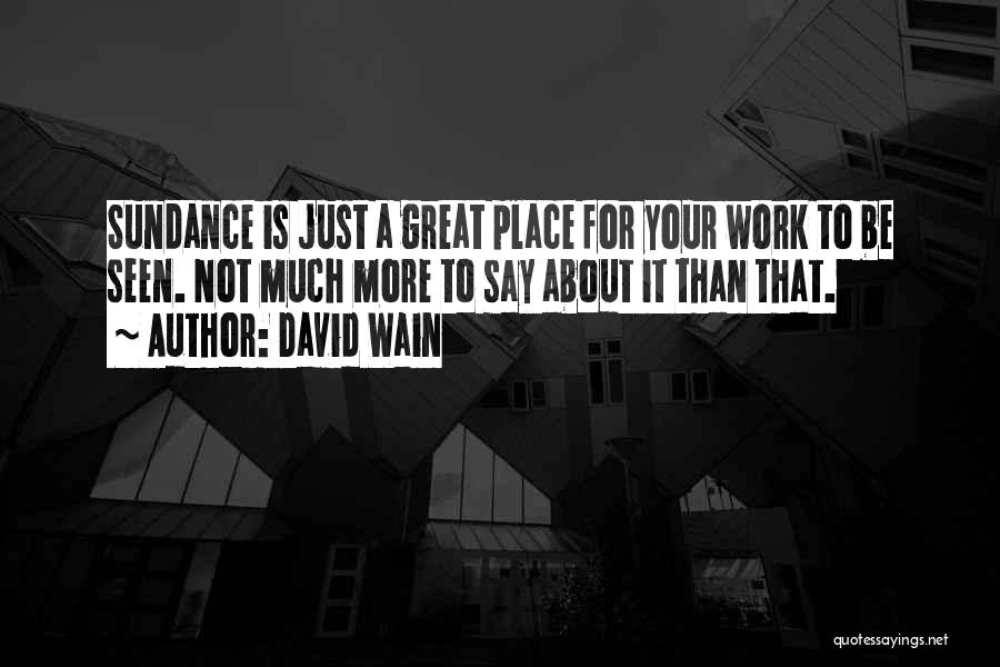 A Great Place To Work Quotes By David Wain
