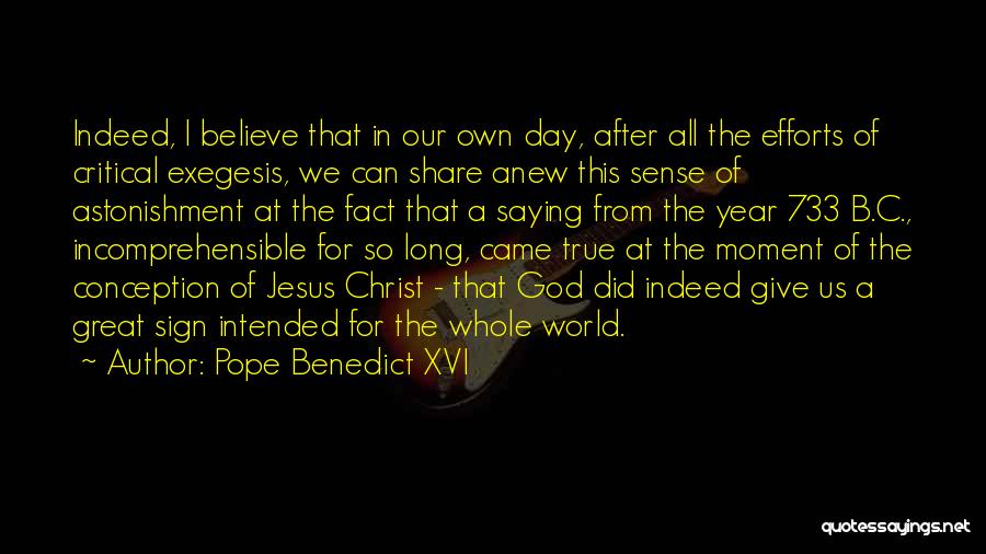 A Great Year Quotes By Pope Benedict XVI