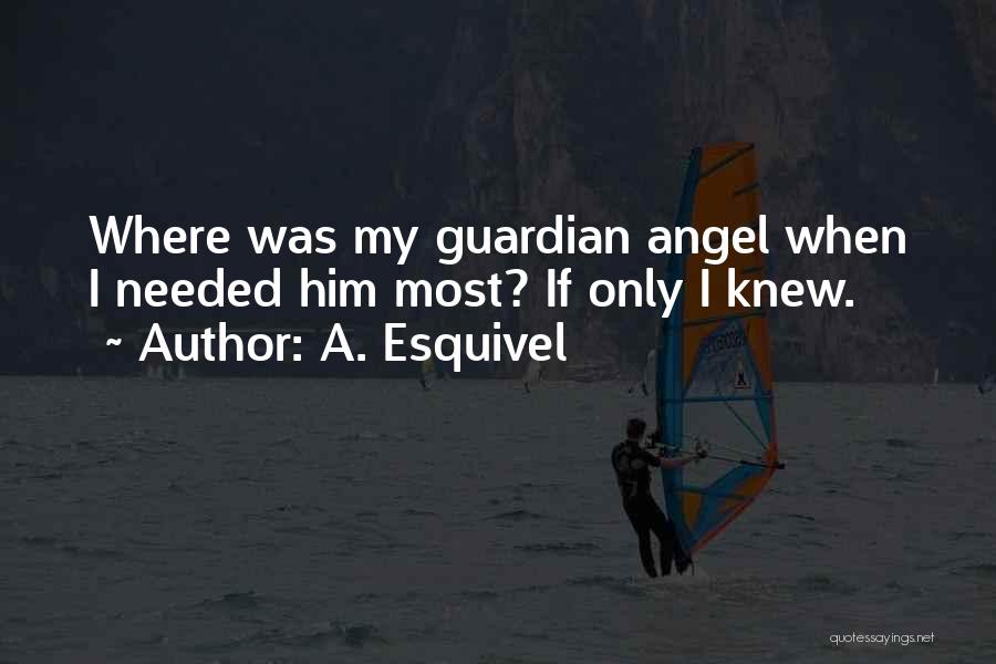 A Guardian Angel Quotes By A. Esquivel