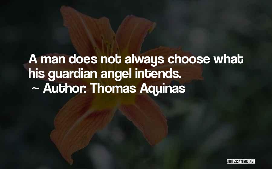 A Guardian Angel Quotes By Thomas Aquinas