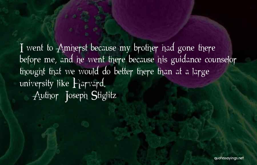 A Guidance Counselor Quotes By Joseph Stiglitz