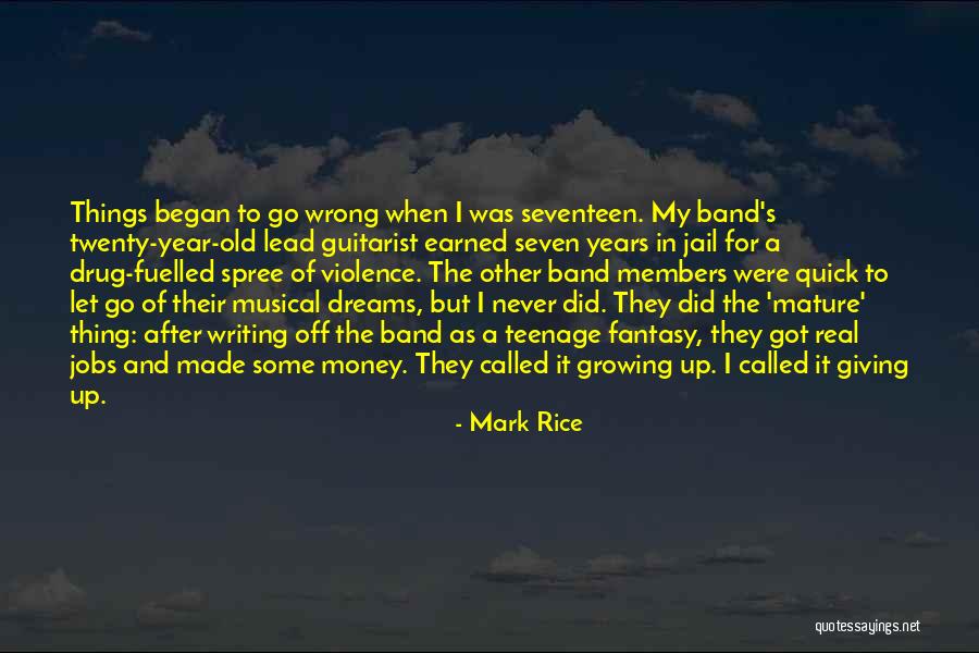 A Guitarist Quotes By Mark Rice