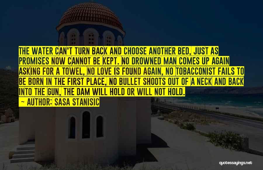 A Gun Quotes By Sasa Stanisic