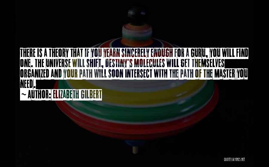 A Guru Quotes By Elizabeth Gilbert
