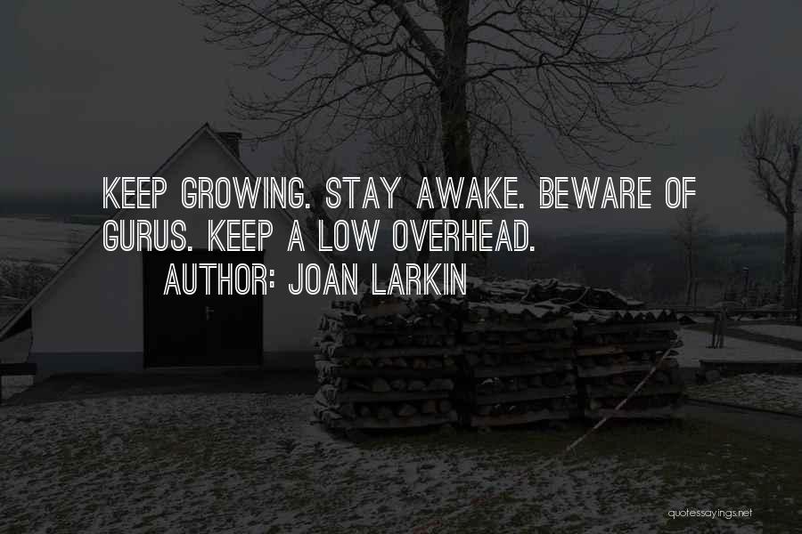 A Guru Quotes By Joan Larkin