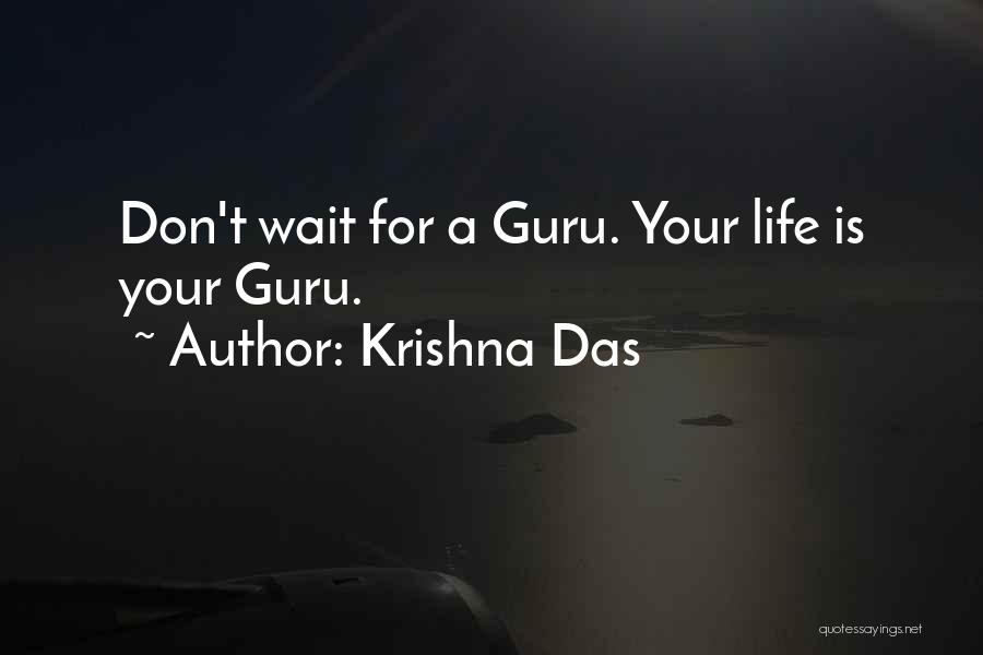 A Guru Quotes By Krishna Das