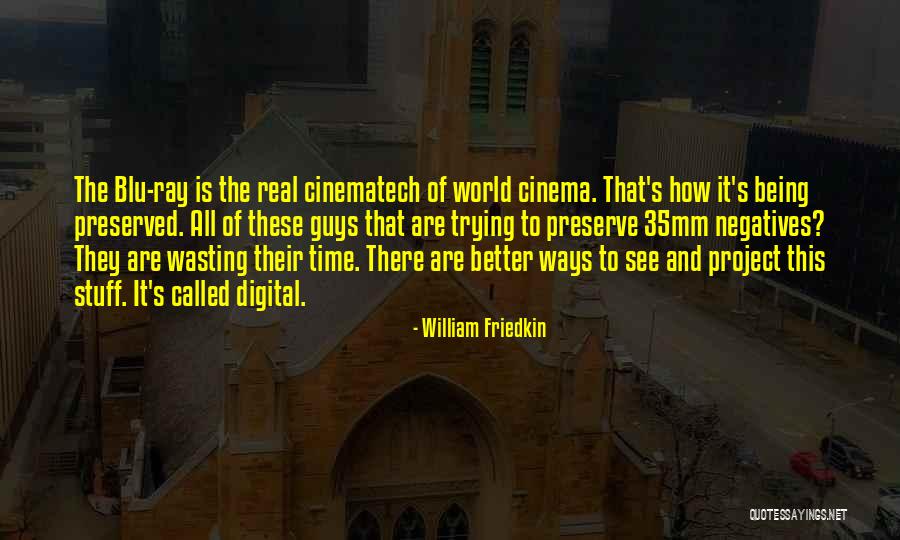 A Guy Wasting Your Time Quotes By William Friedkin A Guy Wasting Your Time Quotes By William Friedkin