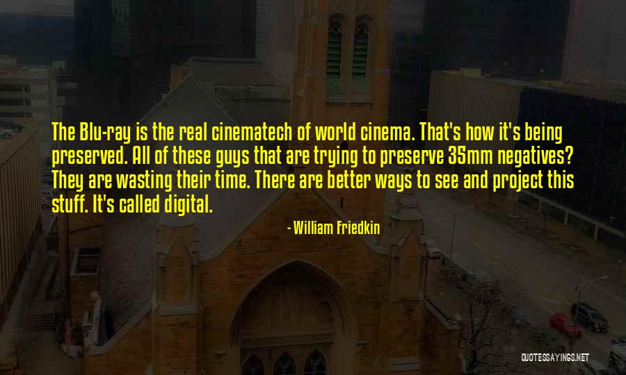 A Guy Wasting Your Time Quotes By William Friedkin