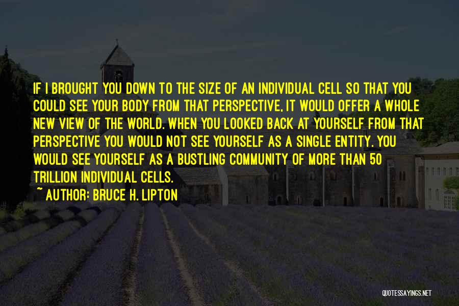 A.h Quotes By Bruce H. Lipton