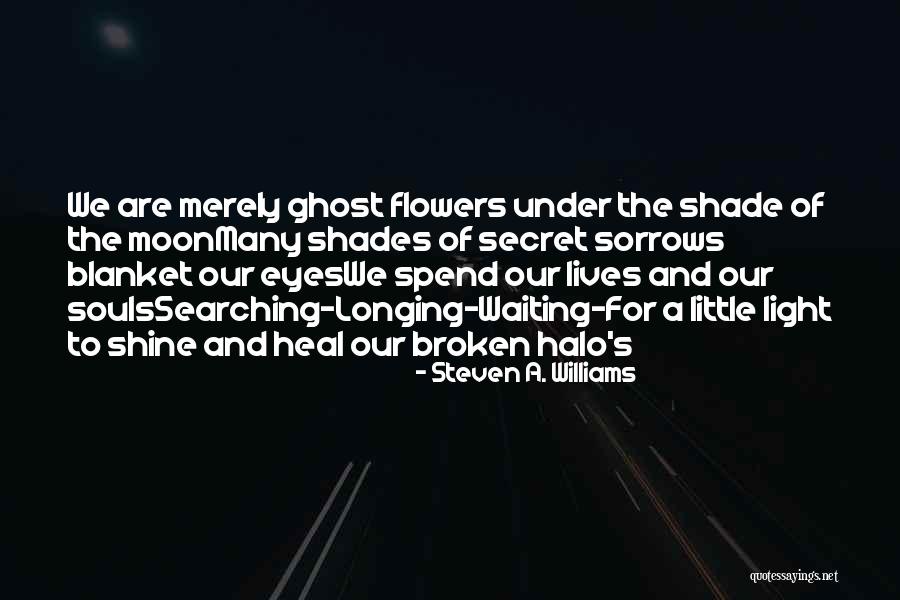 A Halo Quotes By Steven A. Williams A Halo Quotes By Steven A. Williams
