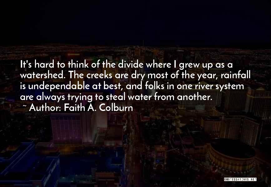 A Hard Year Quotes By Faith A. Colburn