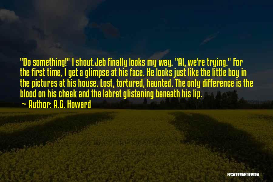 A Haunted House Quotes By A.G. Howard