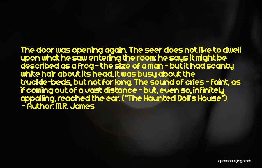 A Haunted House Quotes By M.R. James