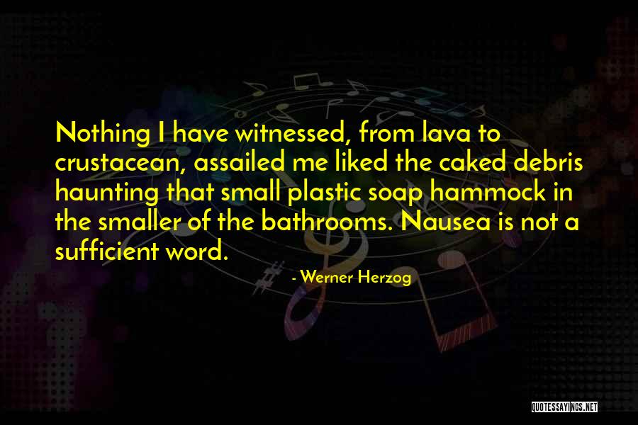 A Haunting Past Quotes By Werner Herzog