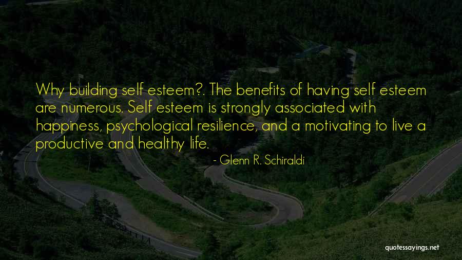 A Healthy Self Esteem Quotes By Glenn R. Schiraldi A Healthy Self Esteem Quotes By Glenn R. Schiraldi