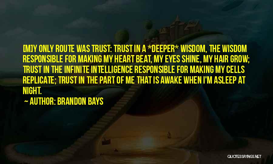 A Heart Healing Quotes By Brandon Bays