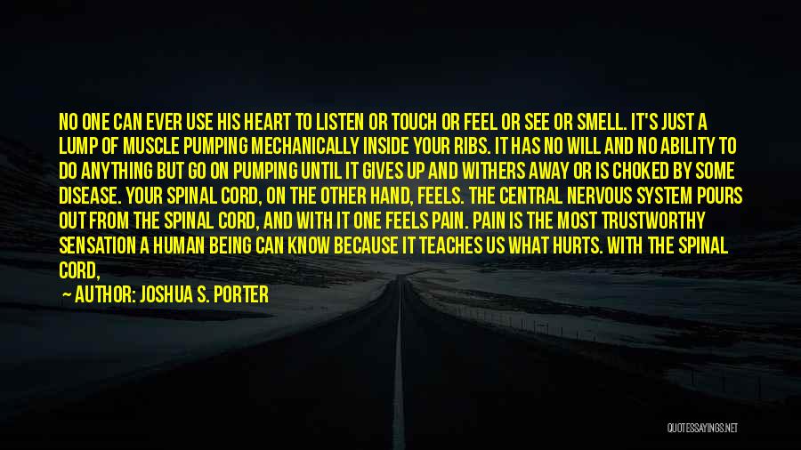 A Heart In Pain Quotes By Joshua S. Porter