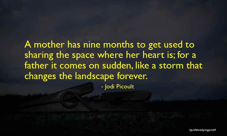 A Heart Quotes By Jodi Picoult