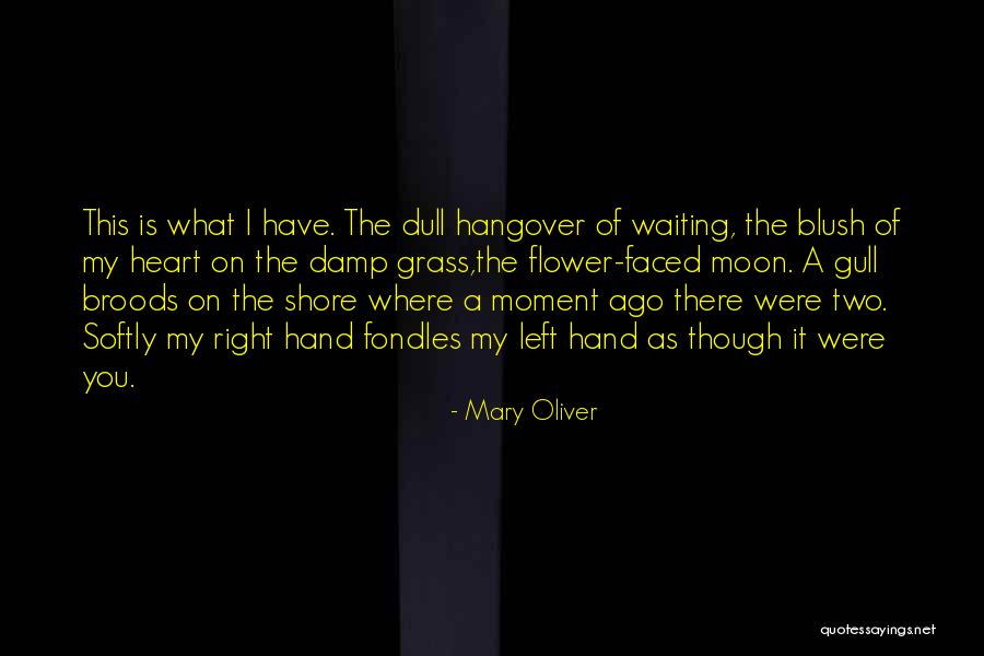 A Heart Quotes By Mary Oliver