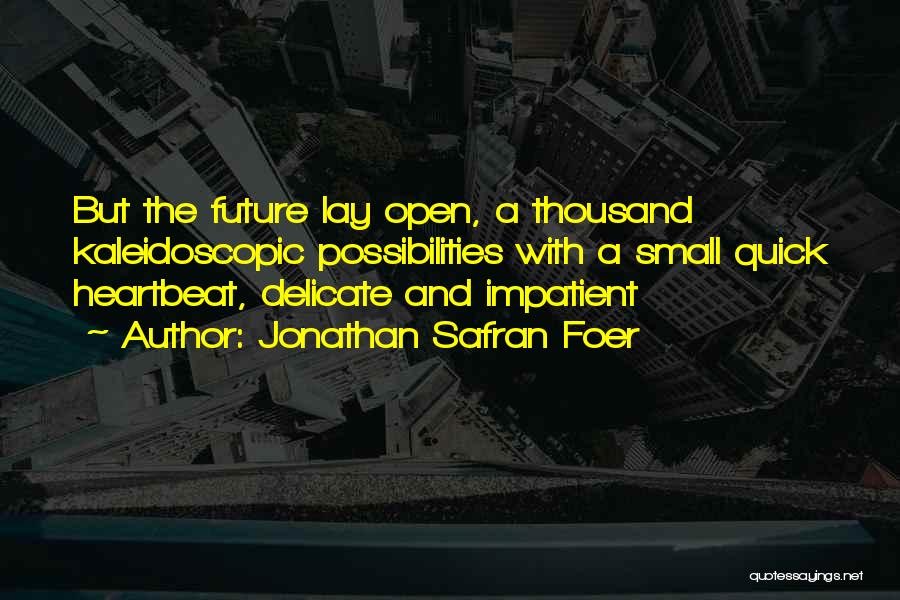 A Heartbeat Quotes By Jonathan Safran Foer