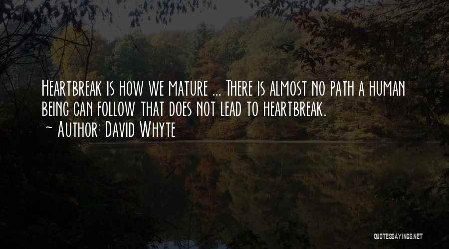 A Heartbreak Quotes By David Whyte