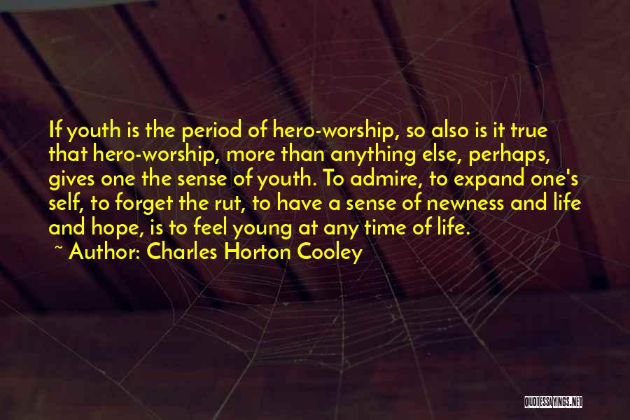 A Hero Quotes By Charles Horton Cooley