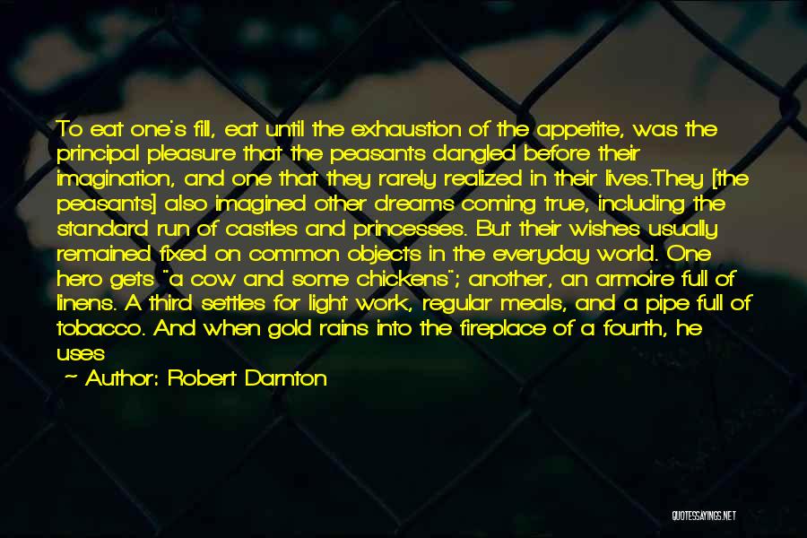 A Hero Quotes By Robert Darnton