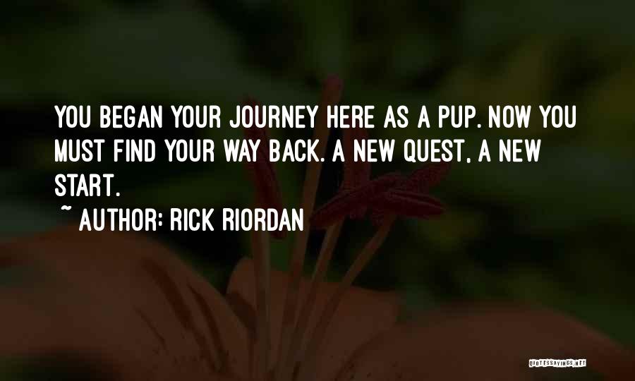 A Hero's Journey Quotes By Rick Riordan